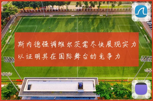 斯内德强调维尔茨需尽快展现实力以证明其在国际舞台的竞争力