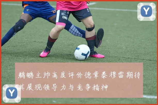 鹈鹕主帅高度评价德章泰穆雷期待其展现领导力与竞争精神